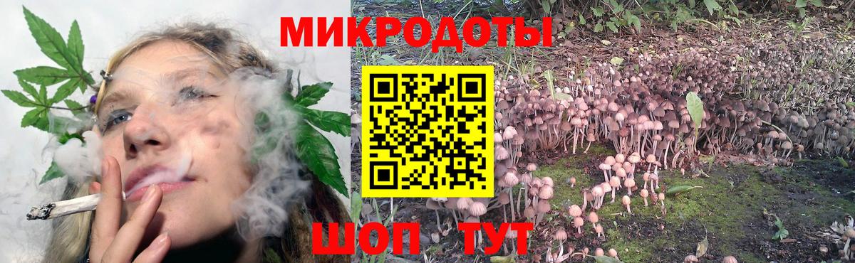 Галлюциногенные грибы Magic Shrooms  Вход с VPN  Псилоцибиновые грибы GOLDEN TEACHER  Анжеро-Судженск 